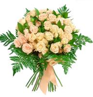 love light - Composition: Rose ,aspidistra.