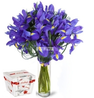Corporate women day gifts