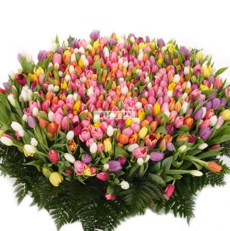 http://ua-flowers.com/goods_pics/5449_b.jpg