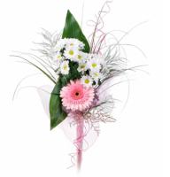 Faith - Composition: white chrysanthemum daisy,gerbera ,aspidistra,ornamental foliage.