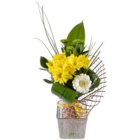 Buy Sundog to Sundog - Composition: chrysanthemum green,chrysanthemum daisy yellow,aspidistra,beargrass,decorative elements,chrysanthemum yellow.