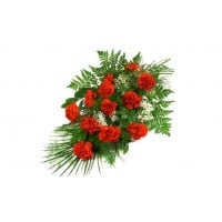 Native - Composition: Red Carnation,ornamental foliage.