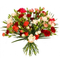 Firework - Composition: carnation.