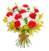 Alliance - Composition: Red Carnation,,statice.