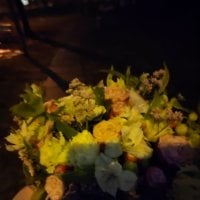 Photo flowers