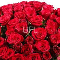 Bouquet 1000 roses - 1001 red roses 