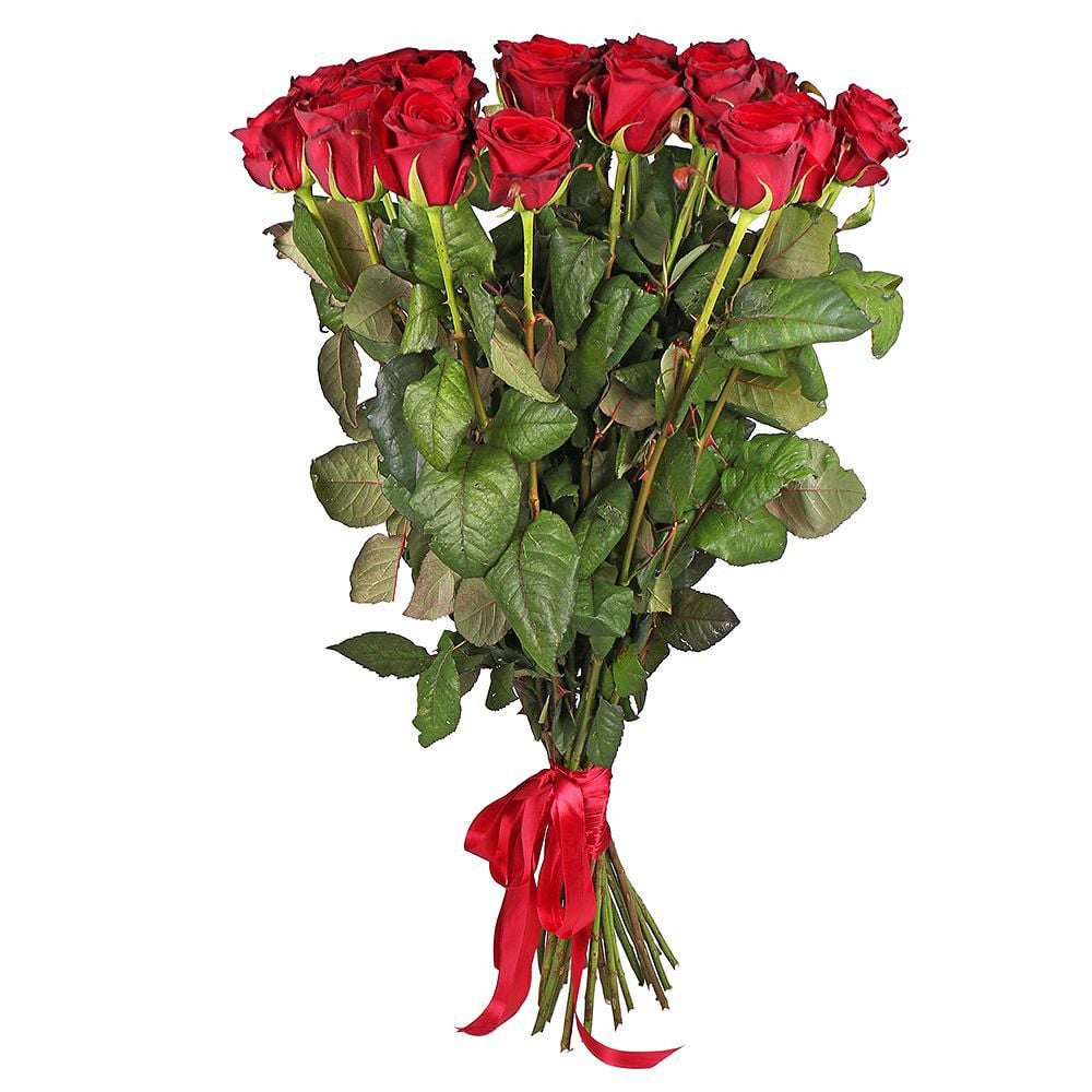 rose (25 pcs.), packaging, ribbon