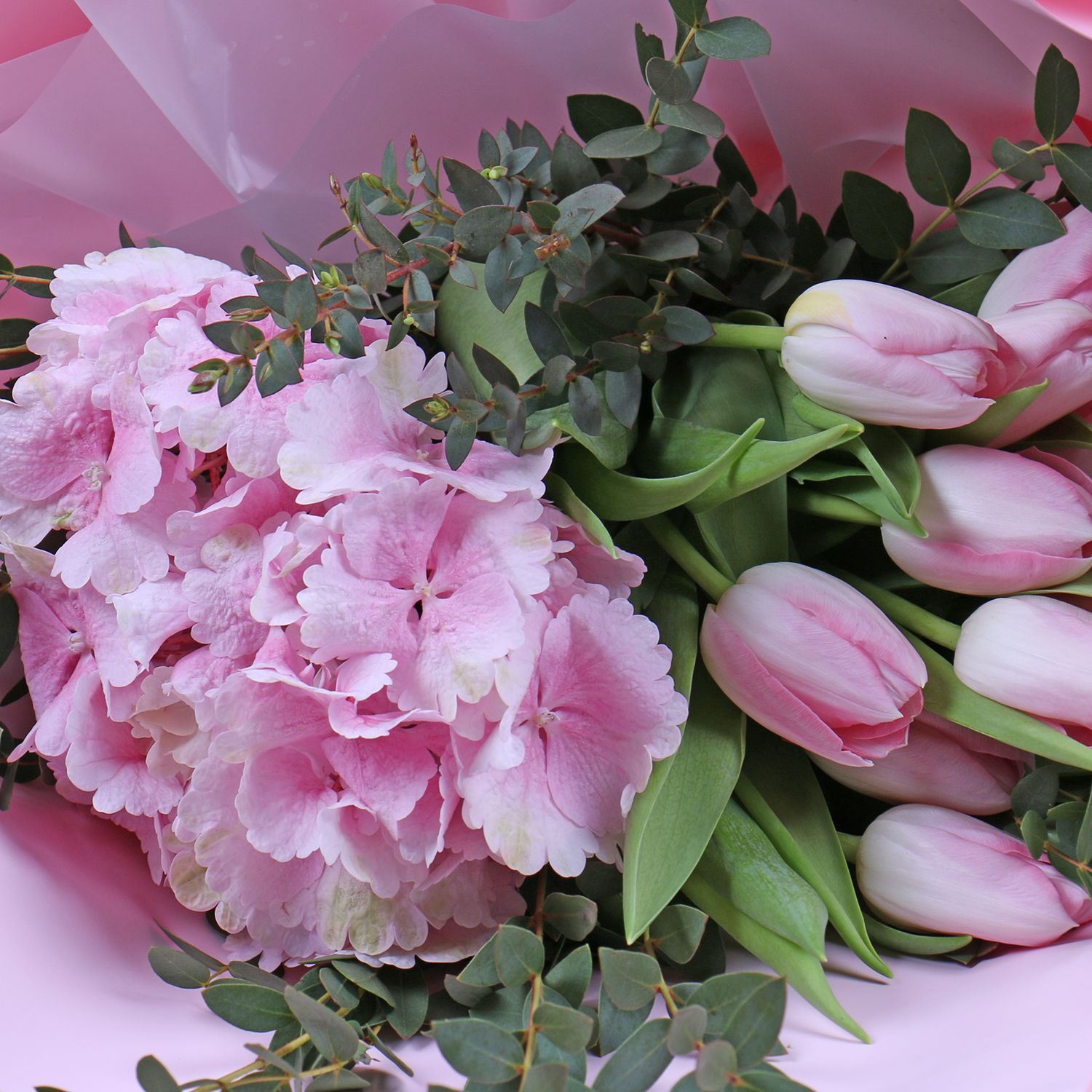 hydrangea, tulip (11 pcs.), eucalyptus, packaging, ribbon