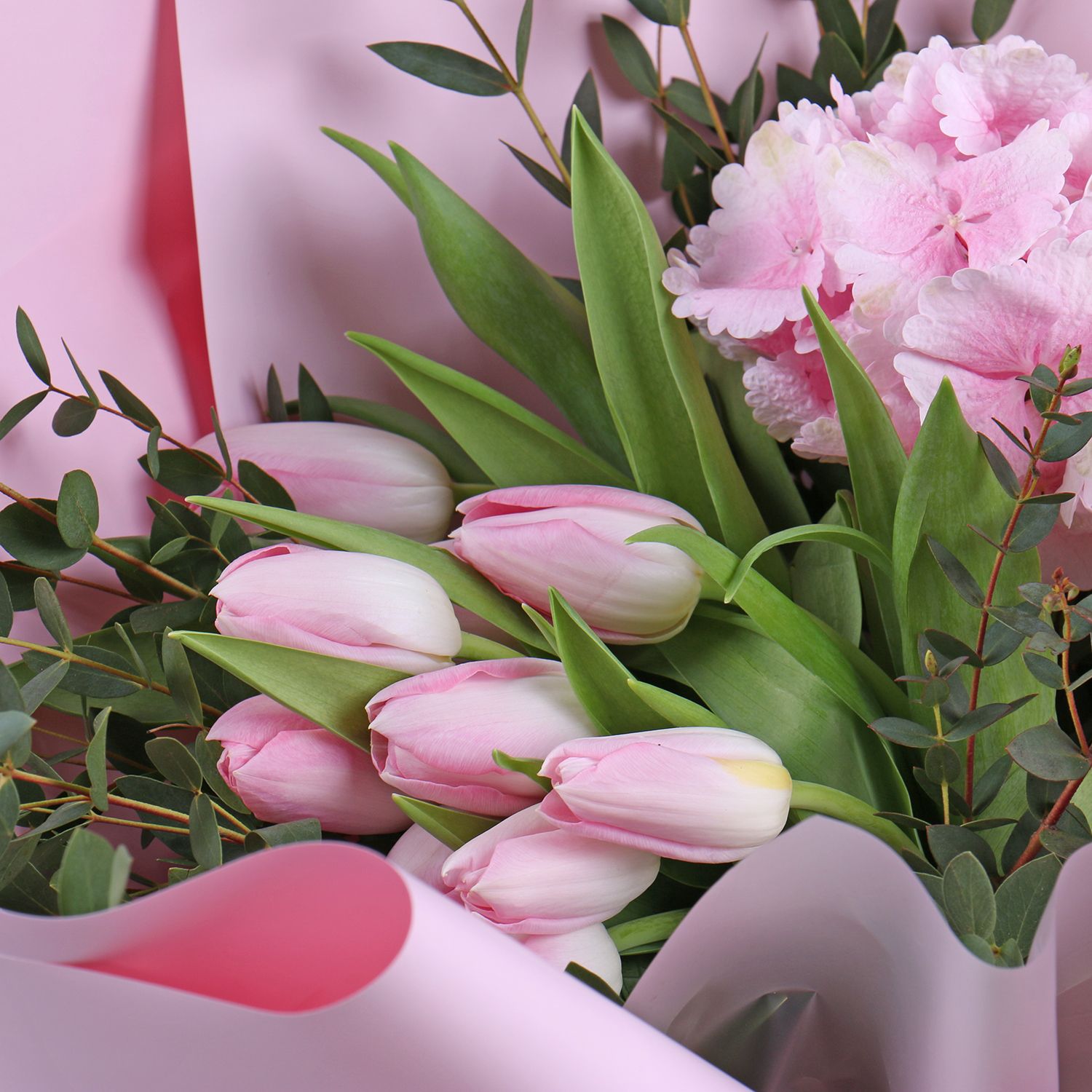 hydrangea, tulip (11 pcs.), eucalyptus, packaging, ribbon