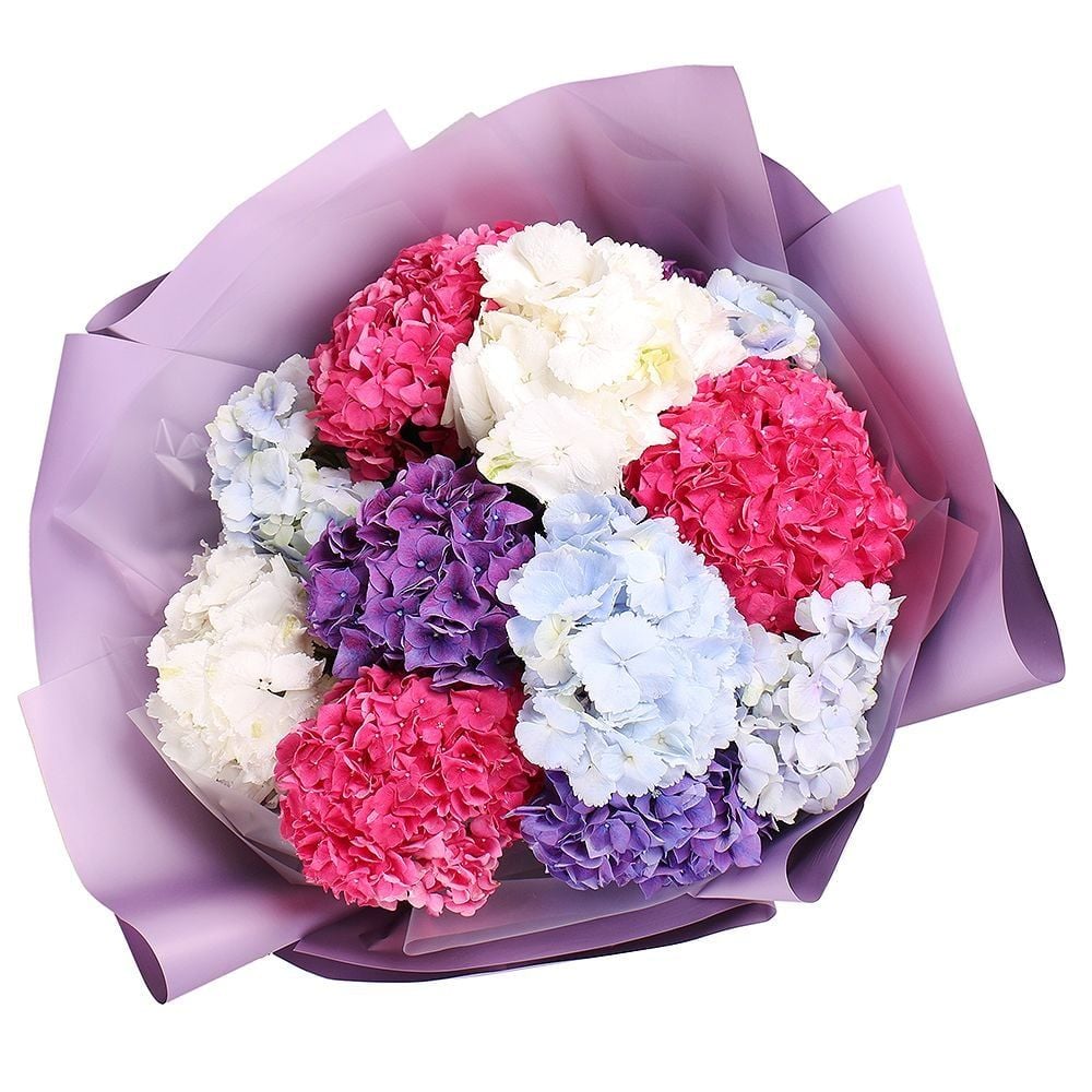 purple hydrangea, packaging, ribbon