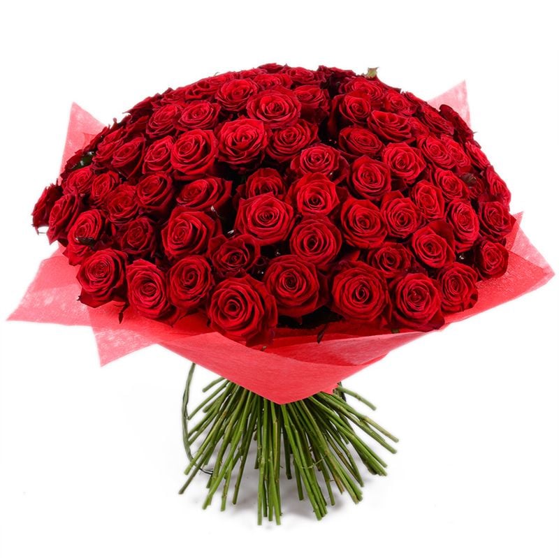 rose (101 pcs.), packaging, ribbon