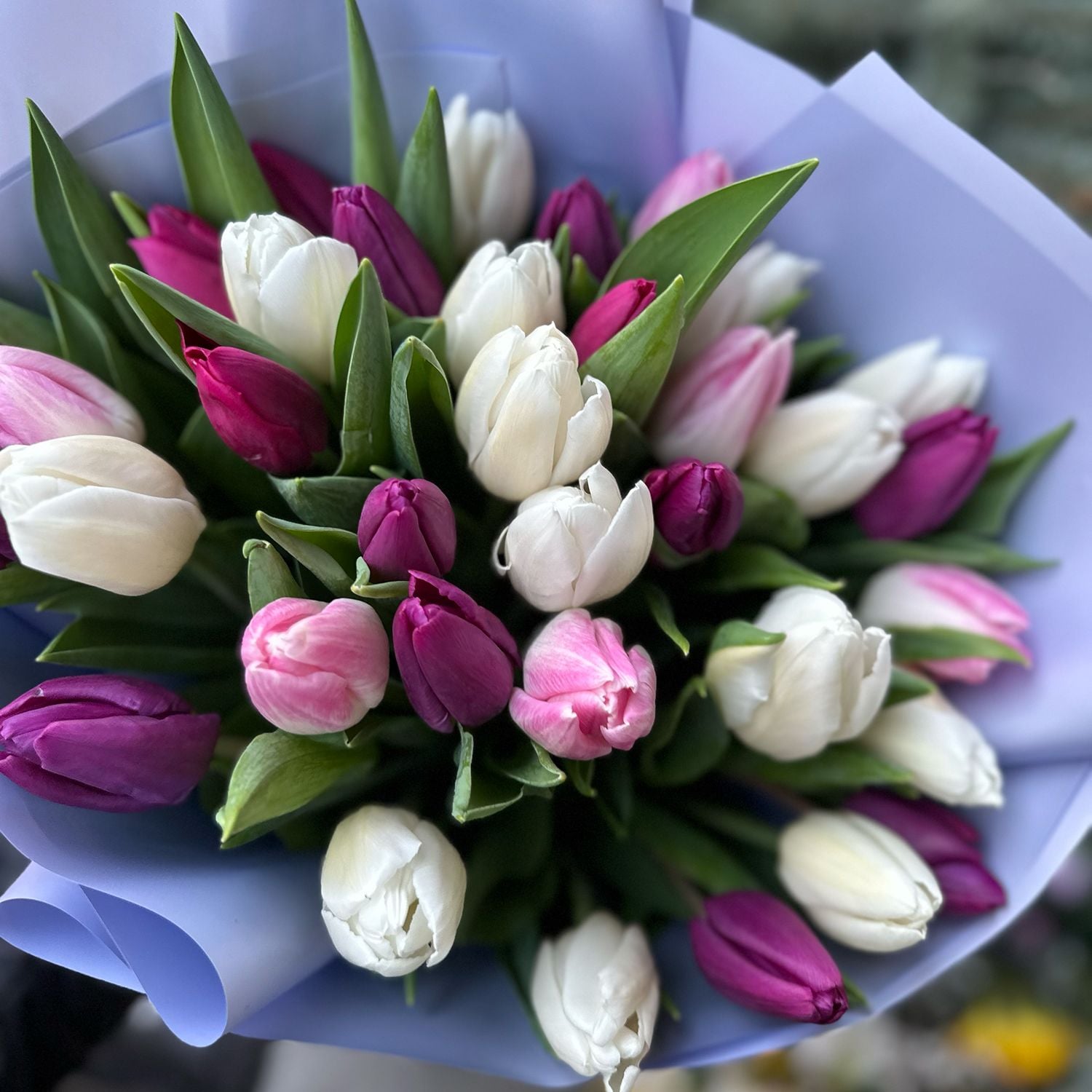 Bouquet 35 tulips mix