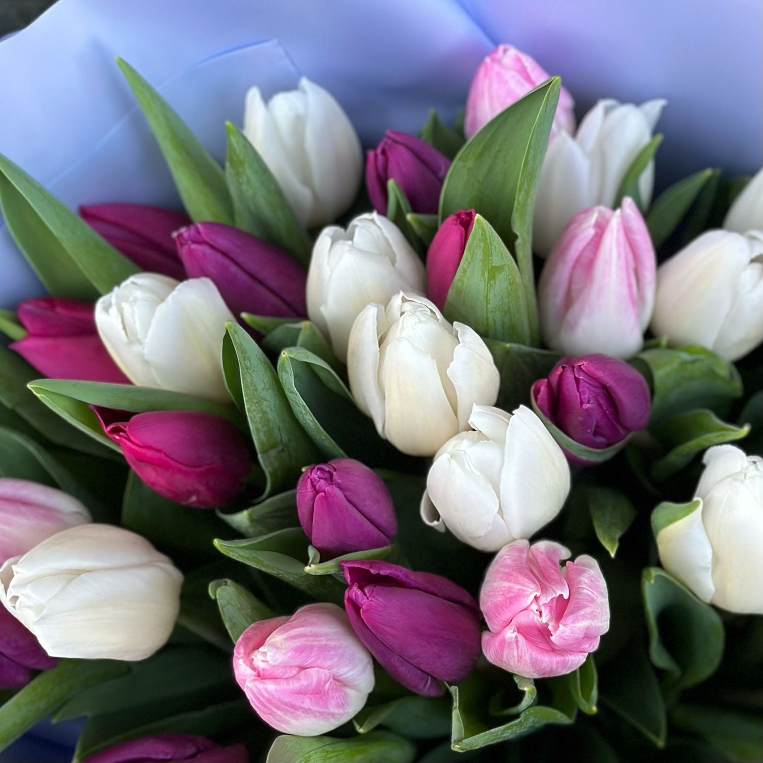 Bouquet 35 tulips mix