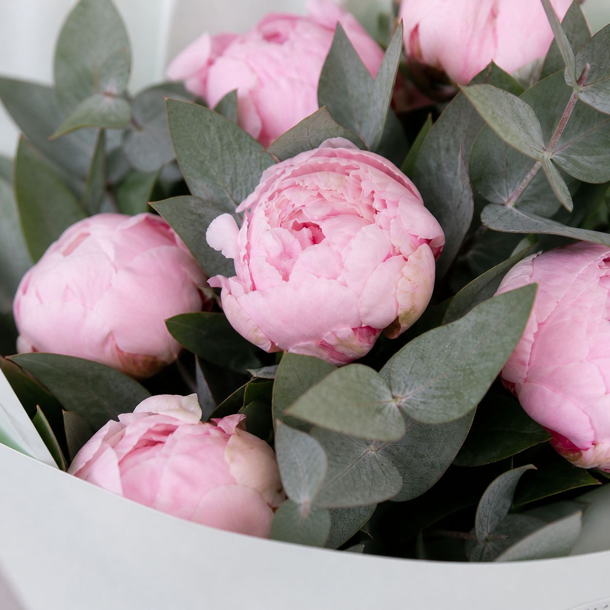 peony, eucalyptus (7 pcs.), packaging, ribbon
