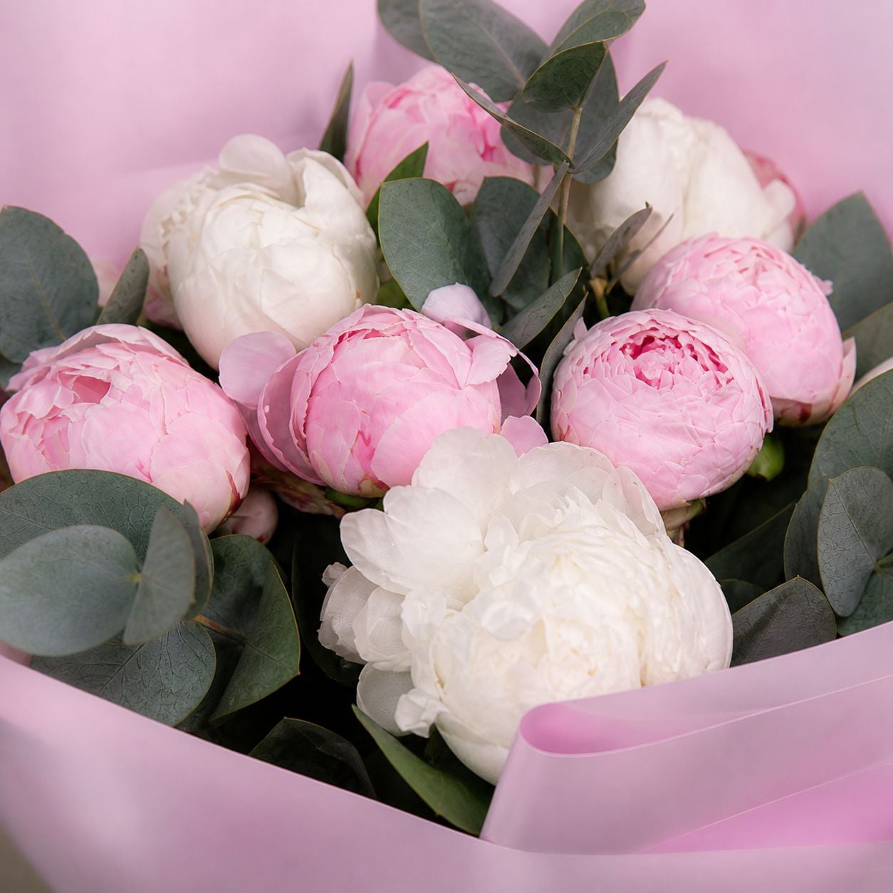 white peony (7 pcs.), pink peony, eucalyptus, packaging, ribbon