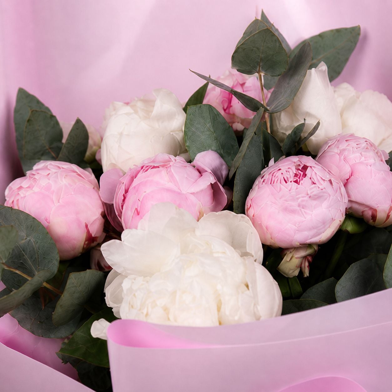 white peony (7 pcs.), pink peony, eucalyptus, packaging, ribbon