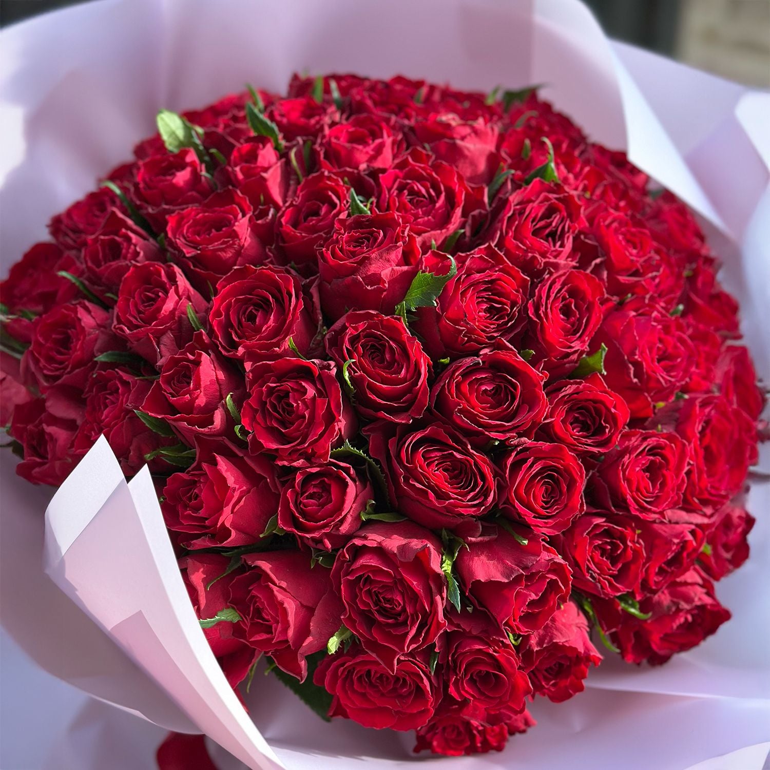 rose (101 pcs.), packaging, ribbon