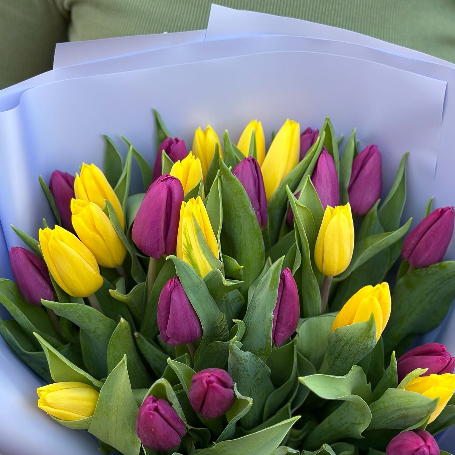 Bouquet 25 yellow and purple tulips