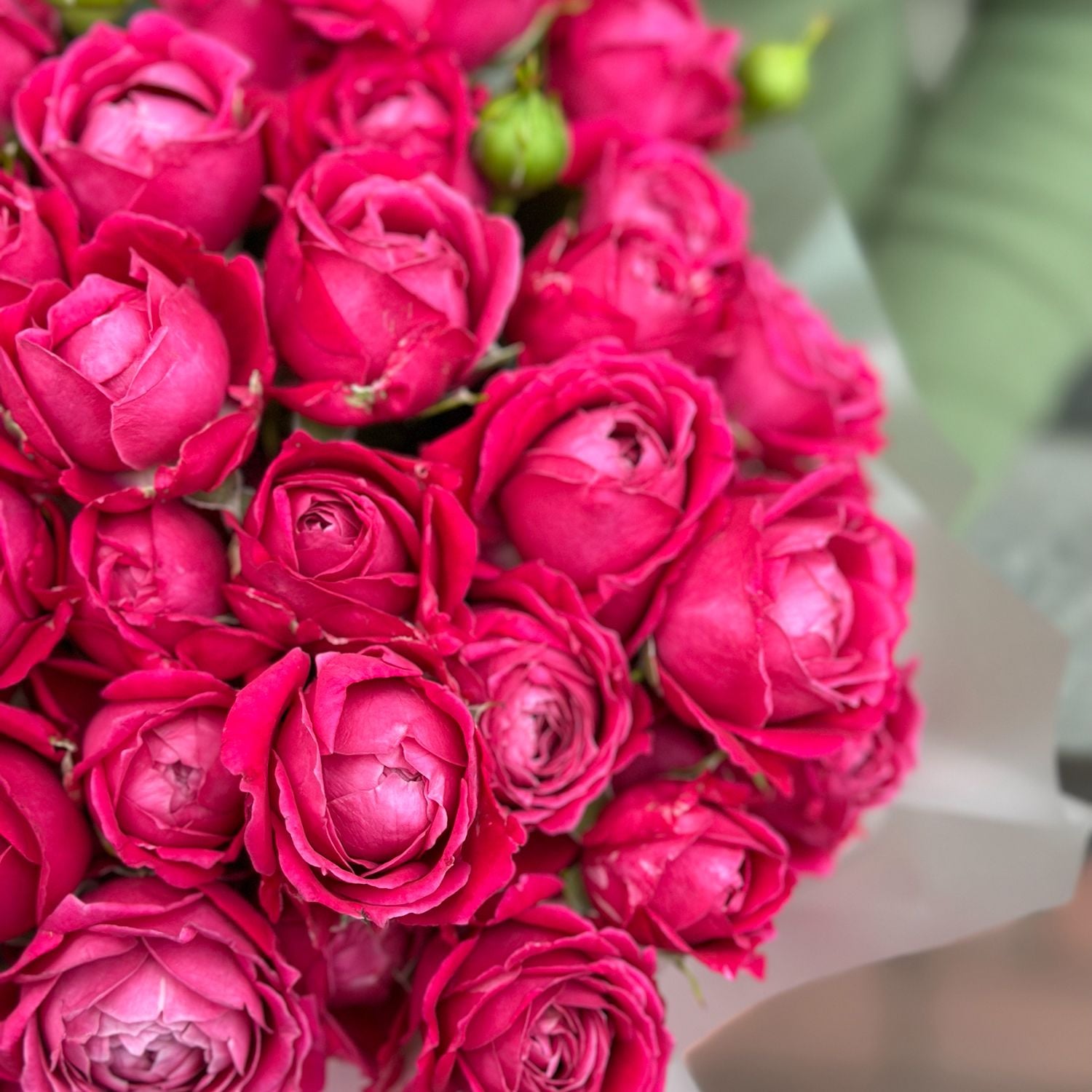 Bouquet Arrangement roses in a box 9pcs