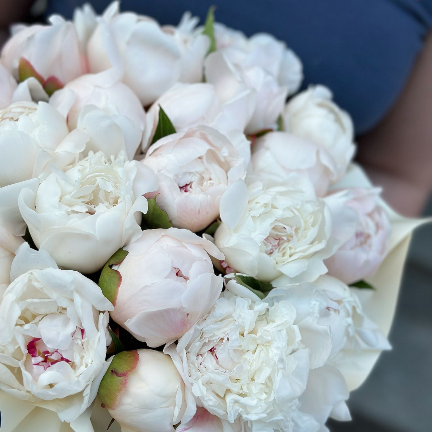 peony (21 pcs.), oasis, box, packaging, ribbon