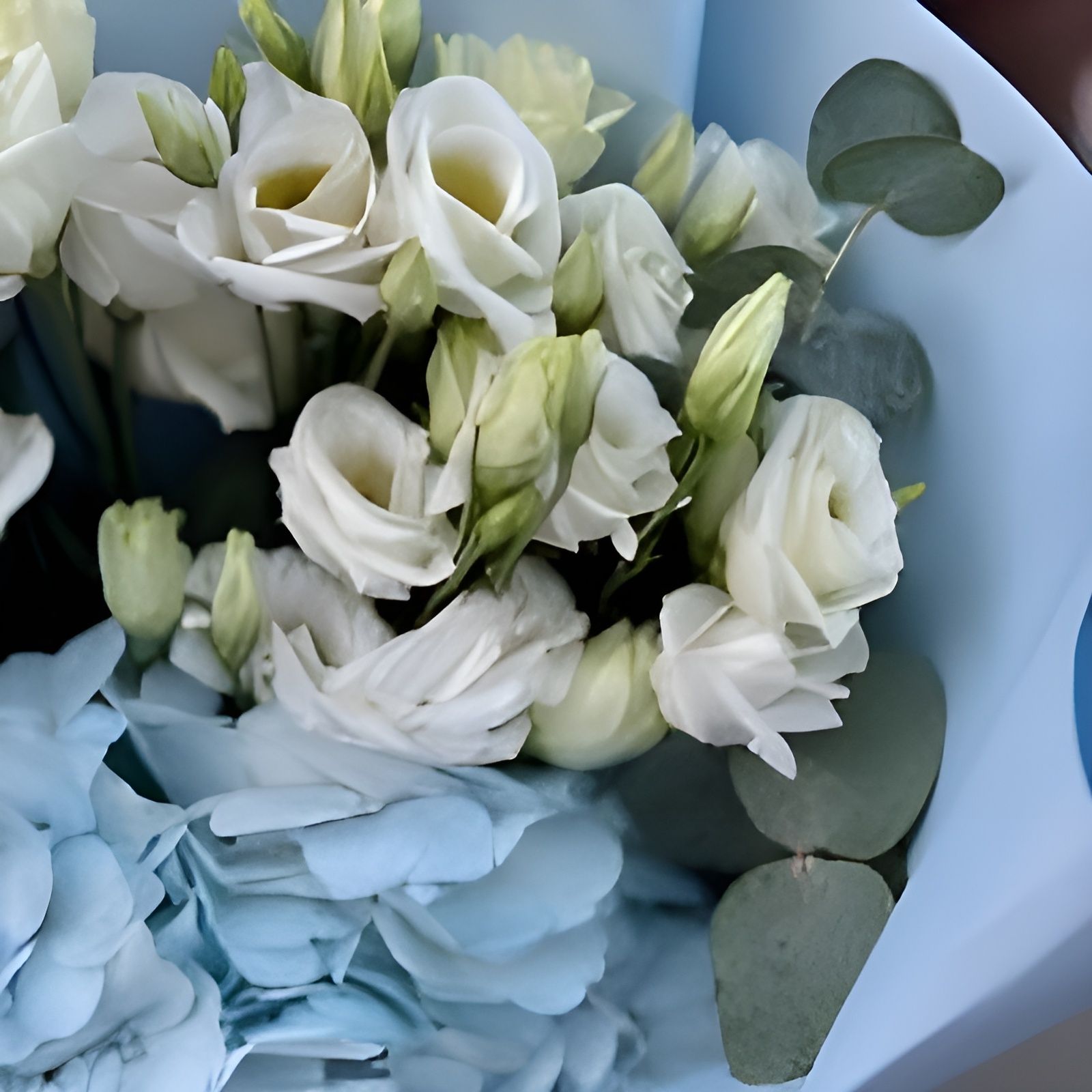 hydrangea, eustoma (3 pcs.), eucalyptus, packaging, ribbon