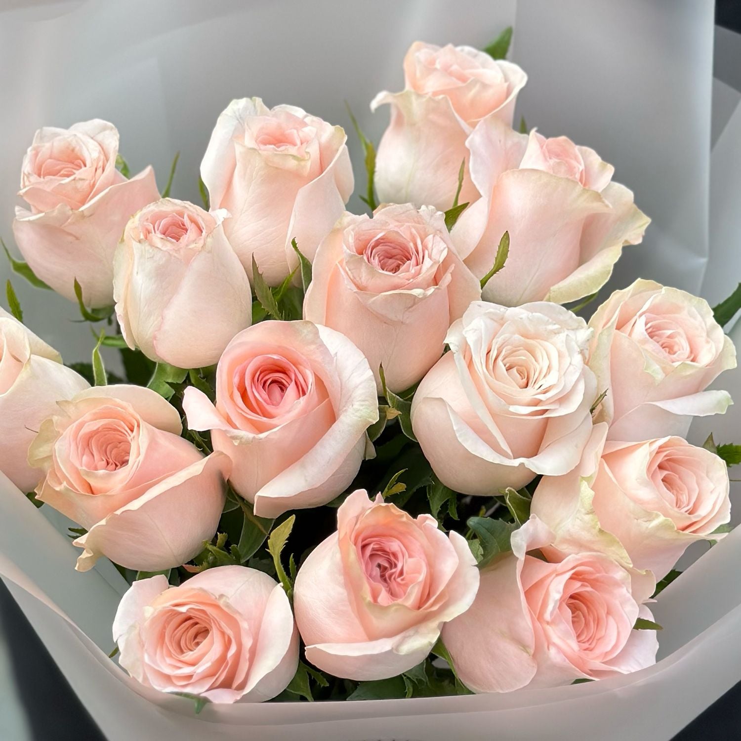 cream rose Kimberly (15 pcs.), packaging, ribbon