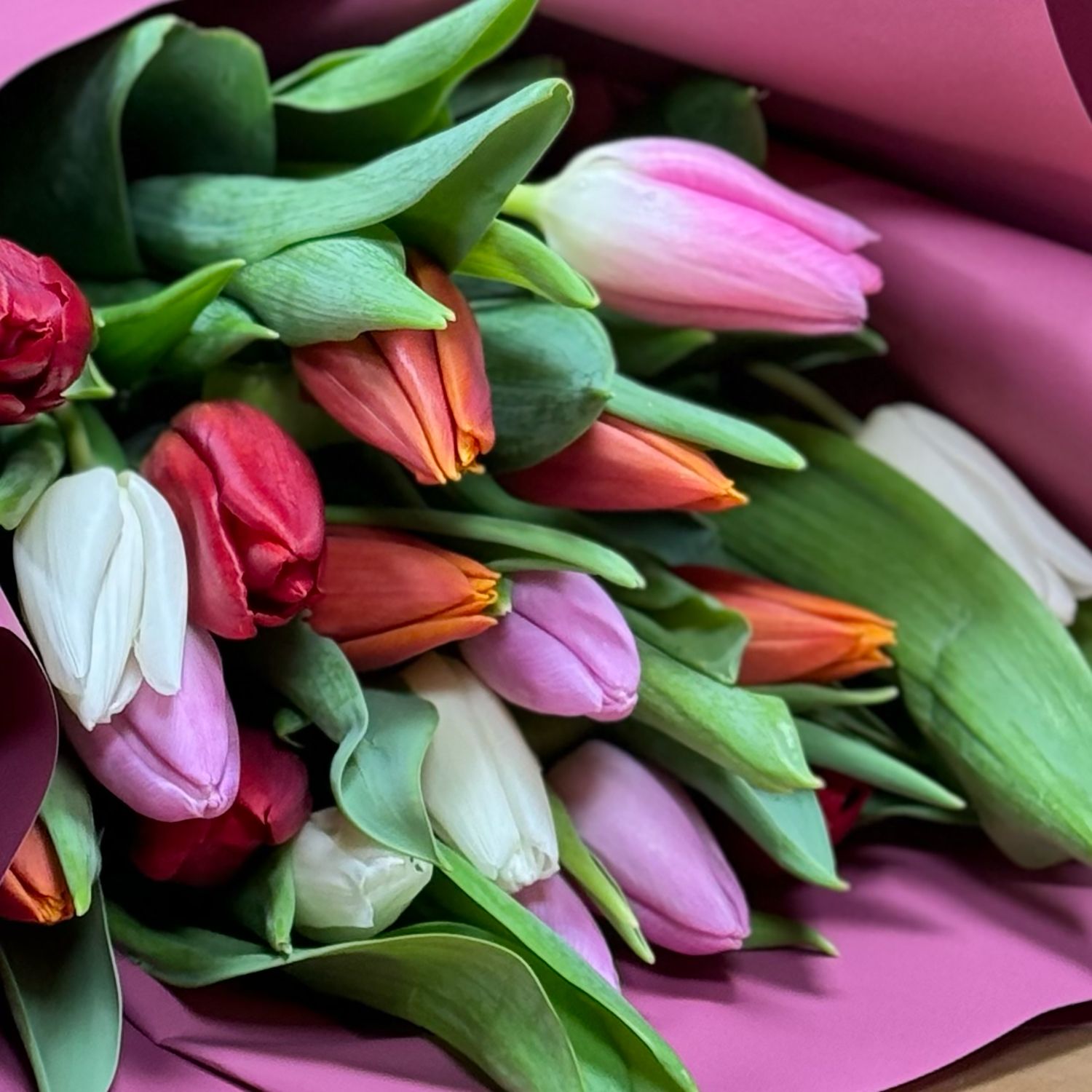 Bouquet 15 colorful tulips My spring