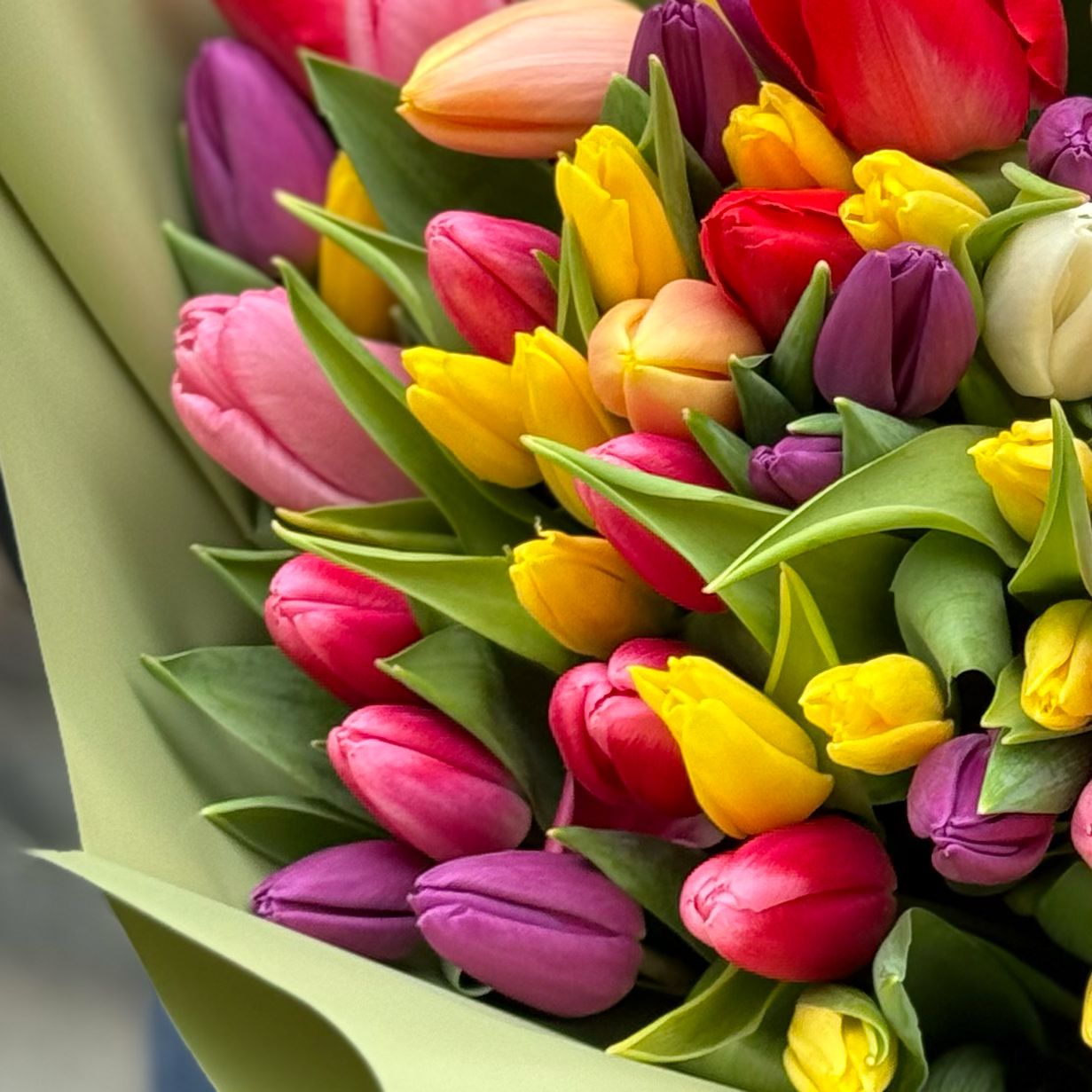 Bouquet 101 mixed tulips
