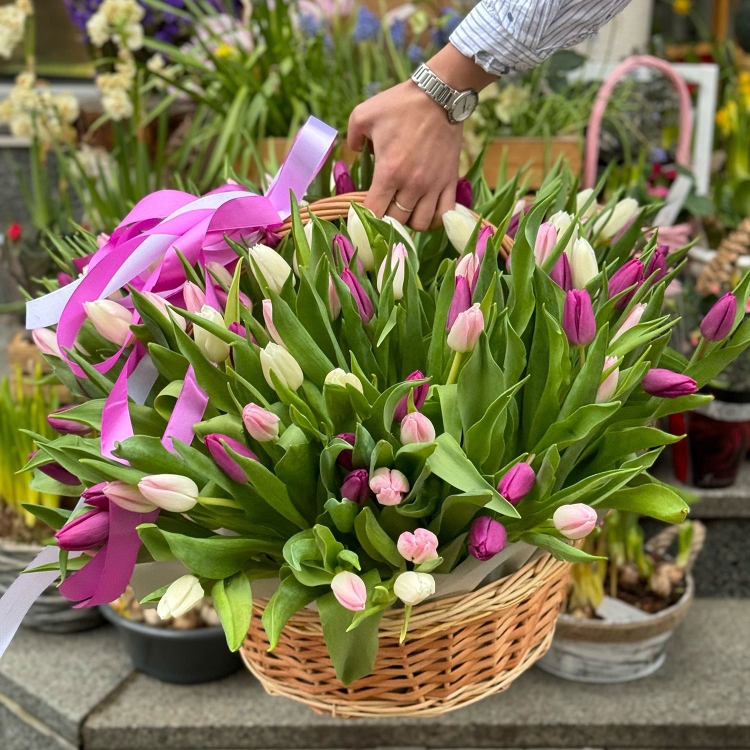 Bouquet �101 tulips mixed in basket