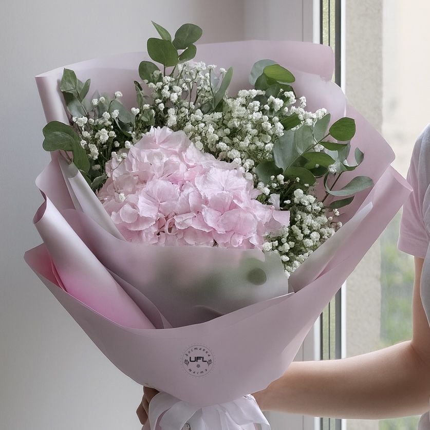 pink hydrangea, gypsophila (3 pcs.), eucalyptus, packaging, ribbon