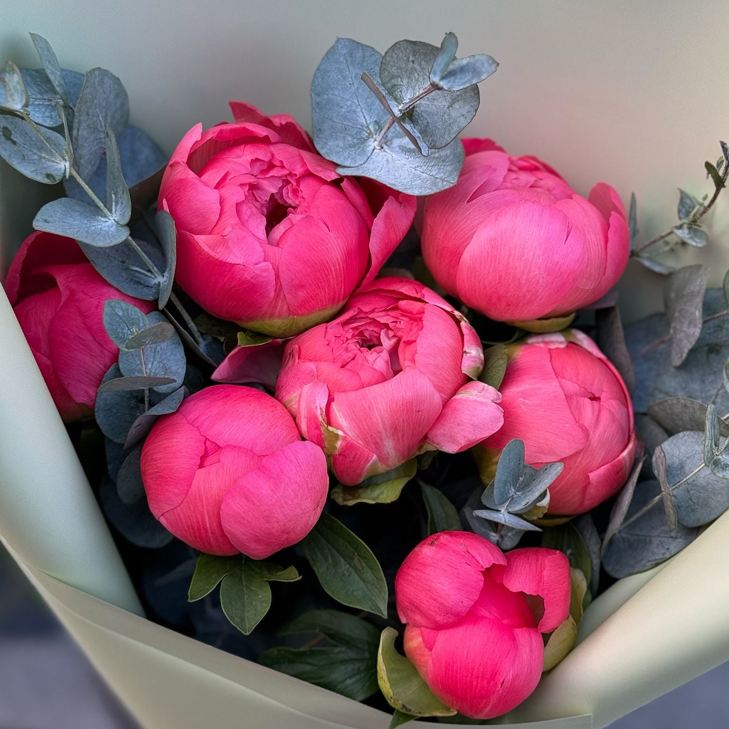 peony coral import (7 pcs.), eucalyptus, packaging, ribbon