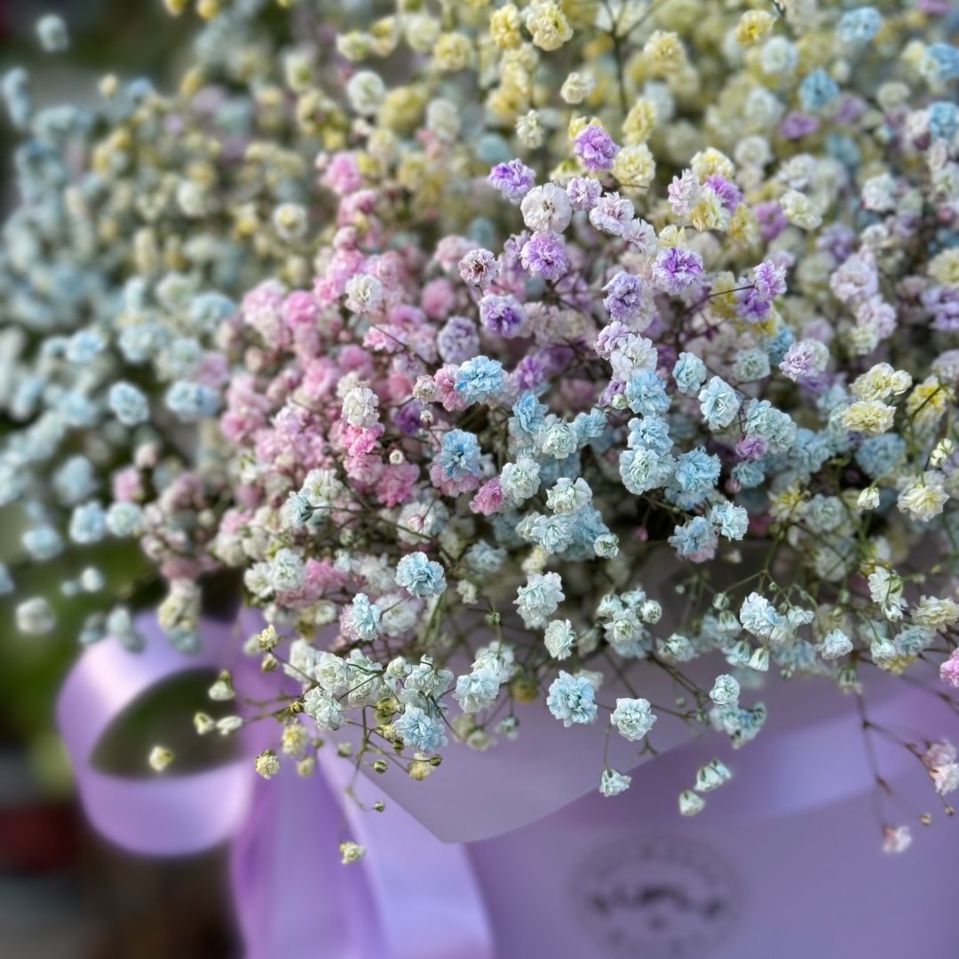 Bouquet Rainbow flower babys-breath in box