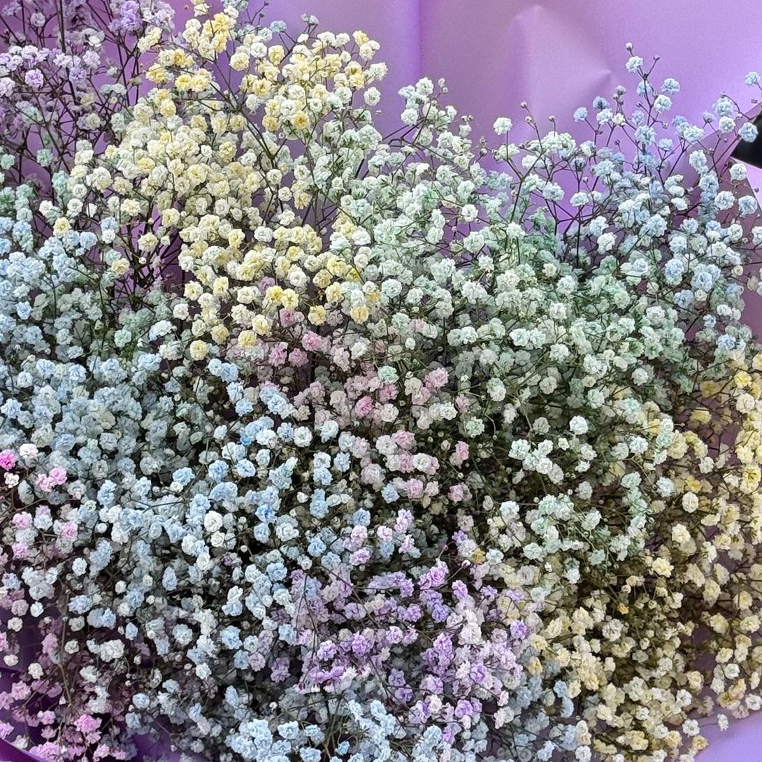 Bouquet Rainbow baby�s breath bouquet.