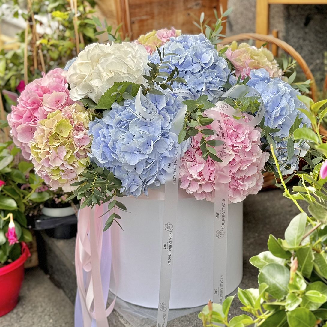 Bouquet Hydrangea mix in a box XXL