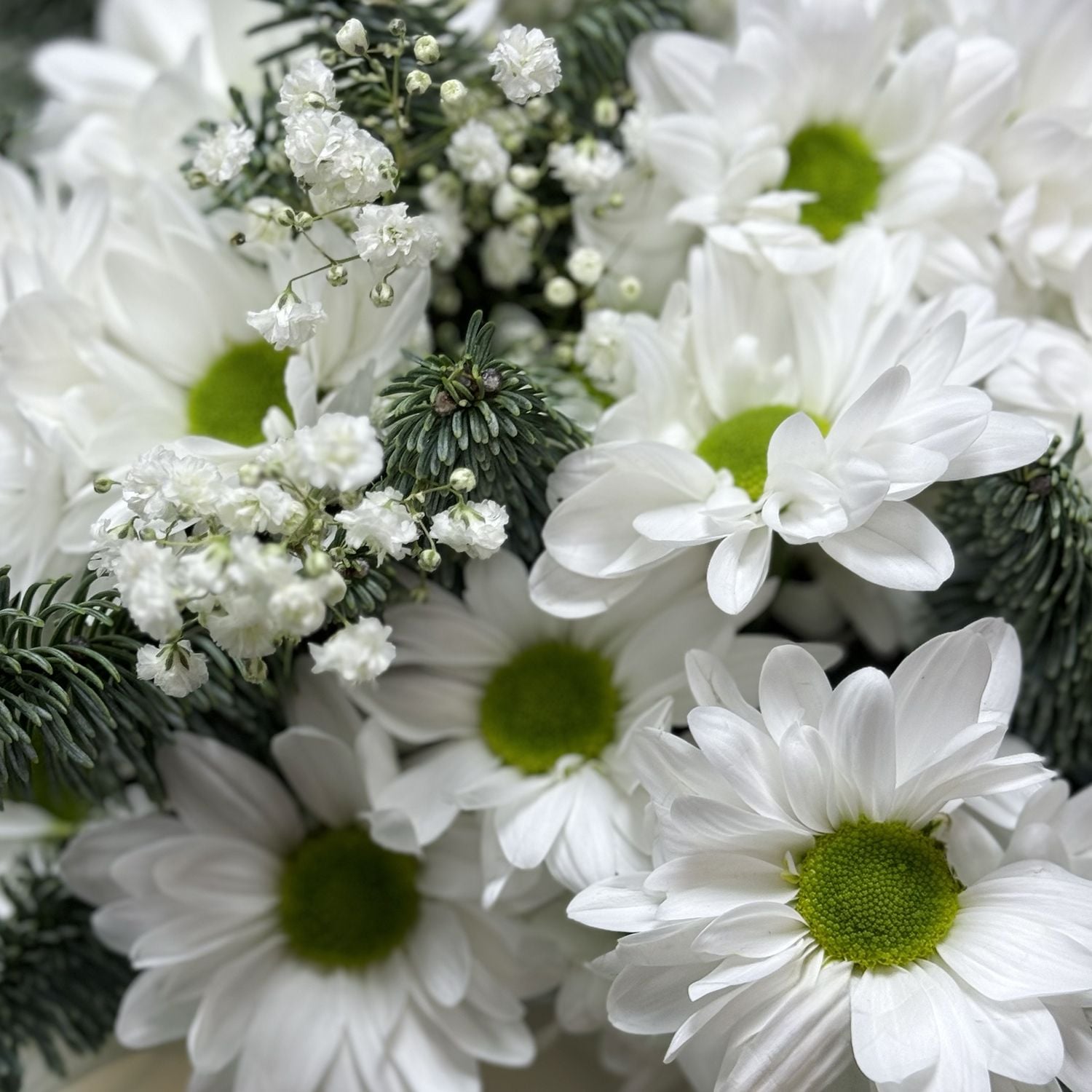 Bouquet Snow miracle