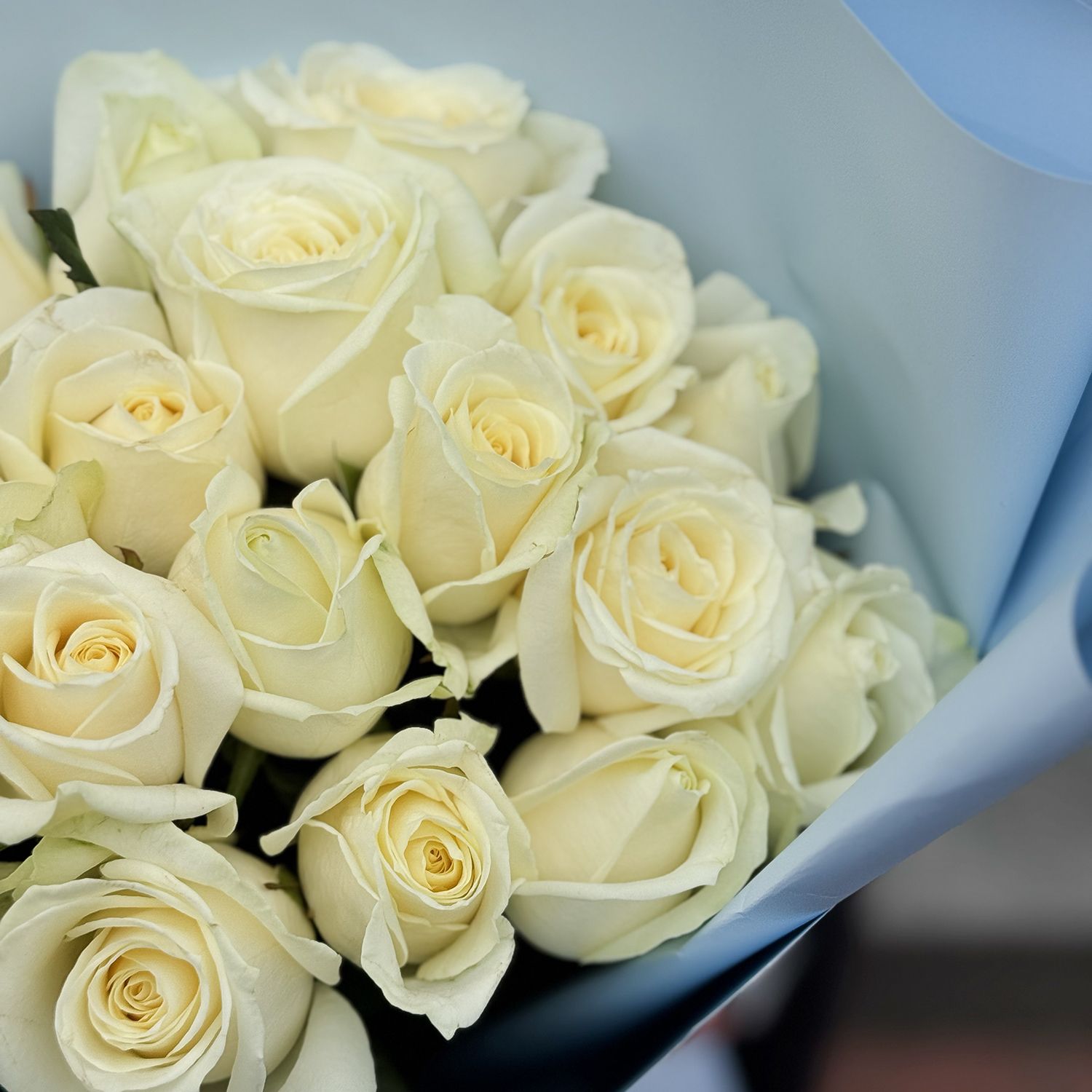 Bouquet Bouquet 21 white roses