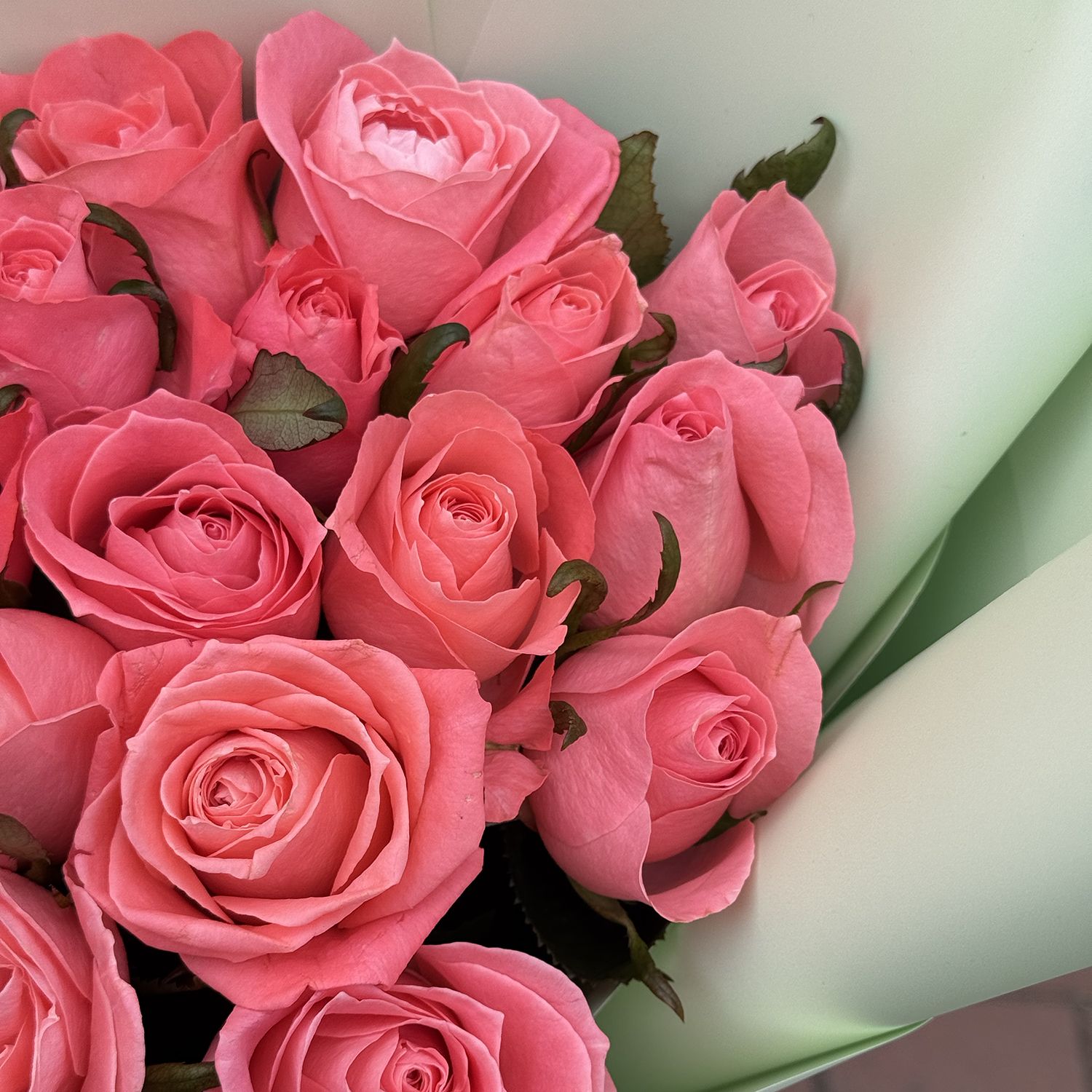 Bouquet Bouquet 21 coral roses