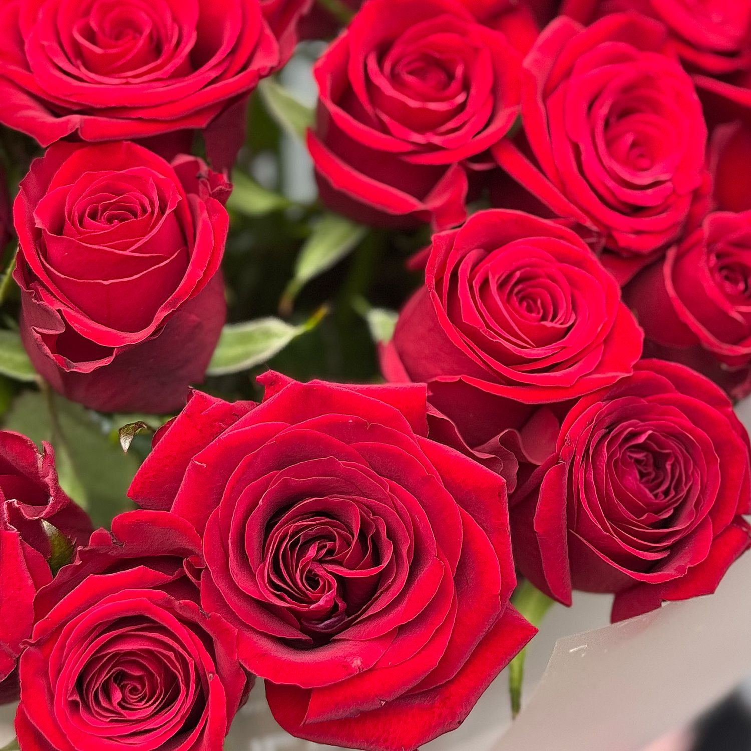 Bouquet 21 red roses