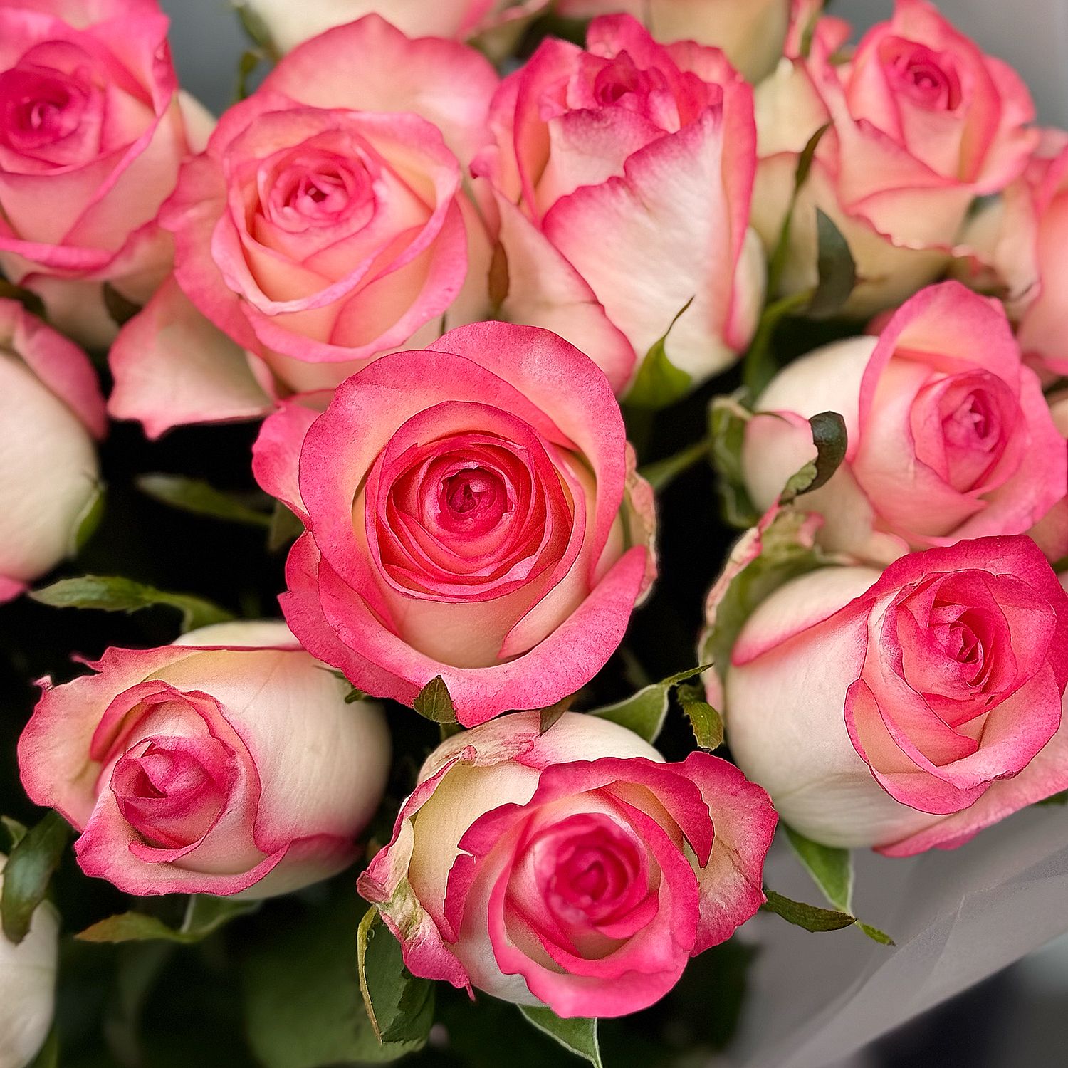 Bouquet 21 roses Jumilia