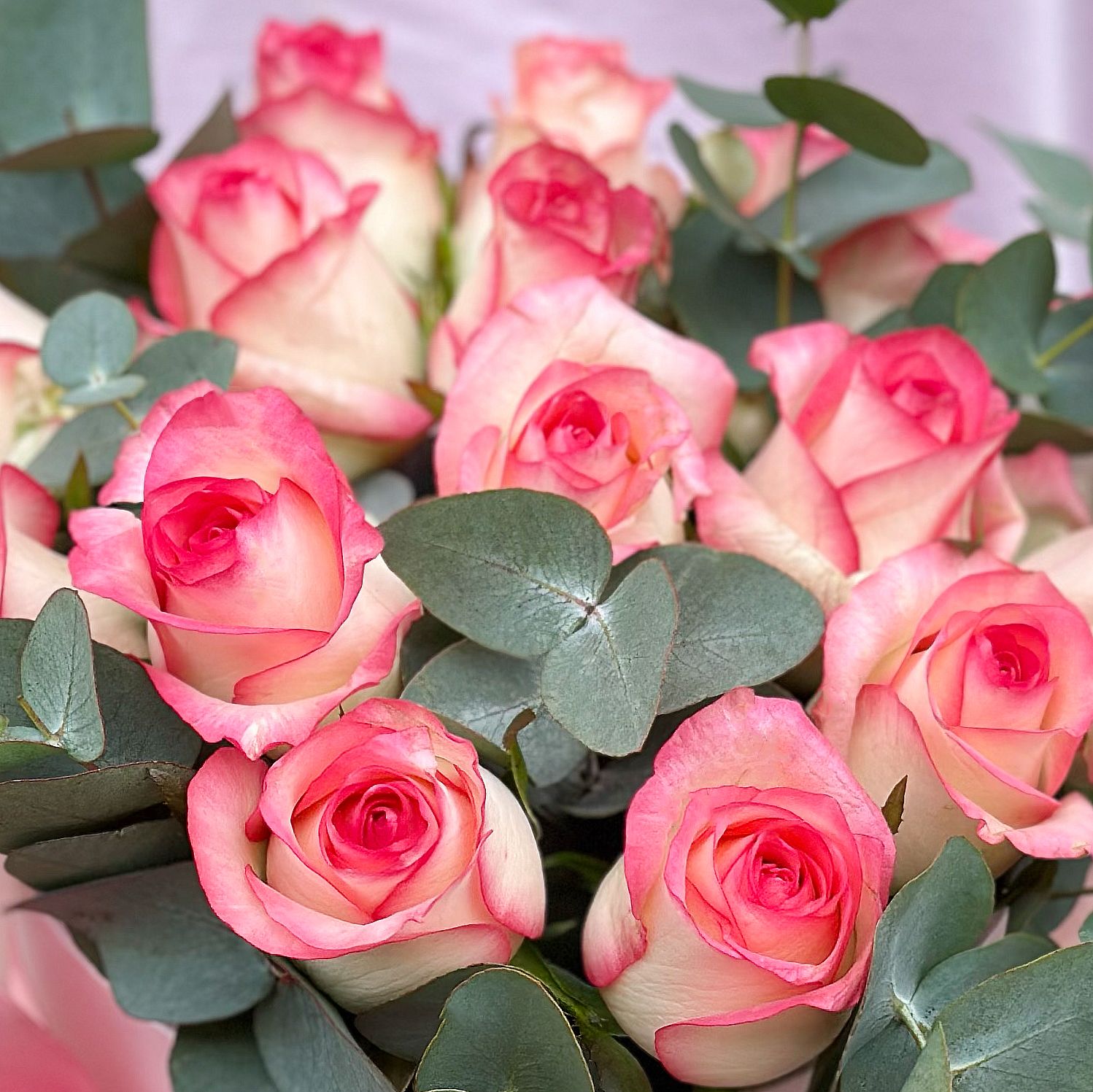 Bouquet Roses in a box Jumilia