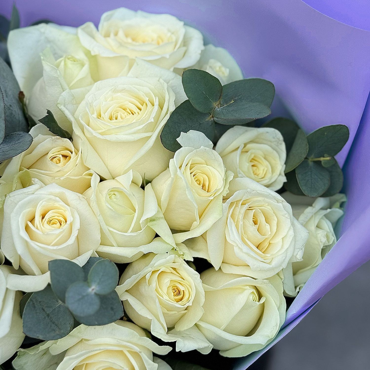 Bouquet 23 white roses