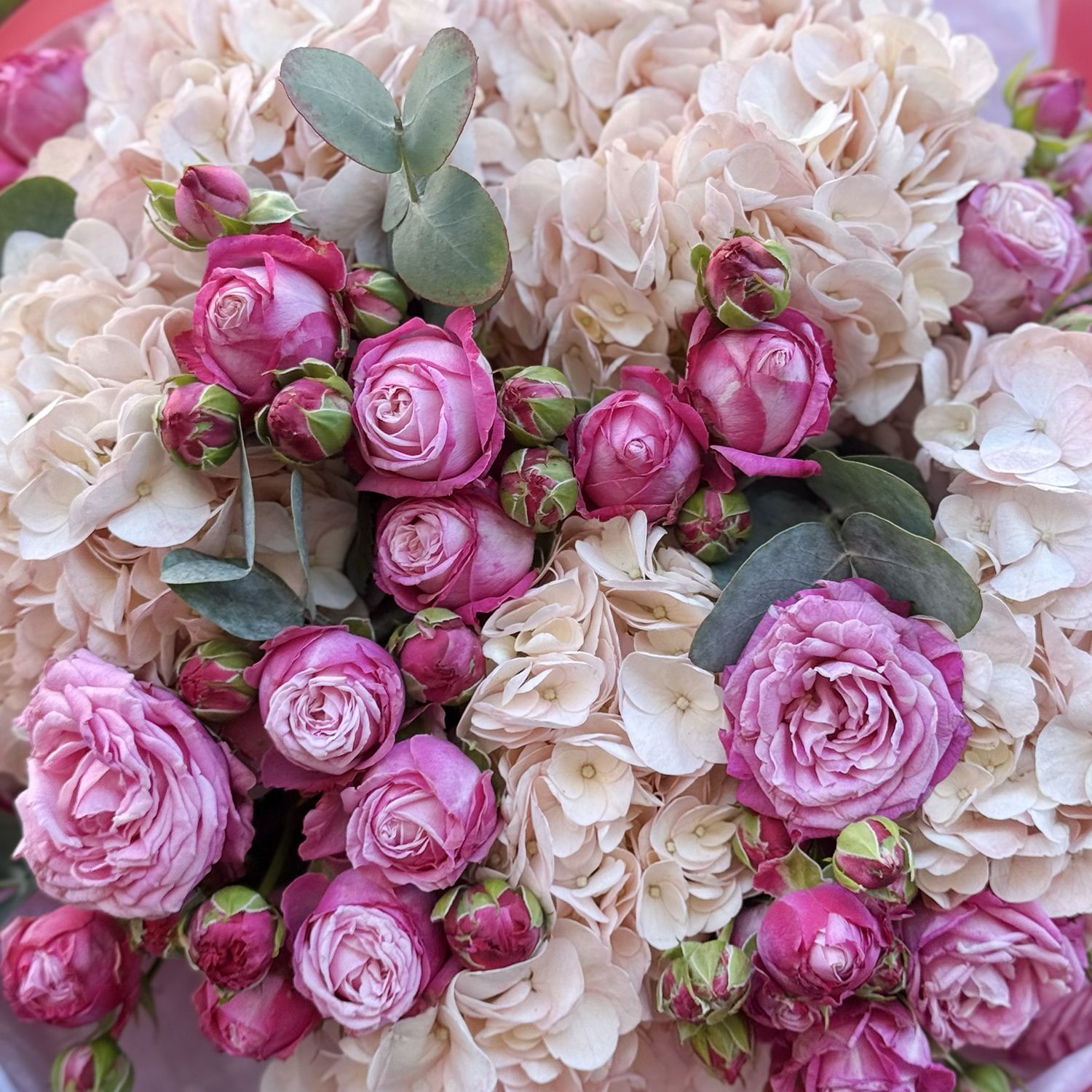 Bouquet Powder bouquet of hydrangea and roses
