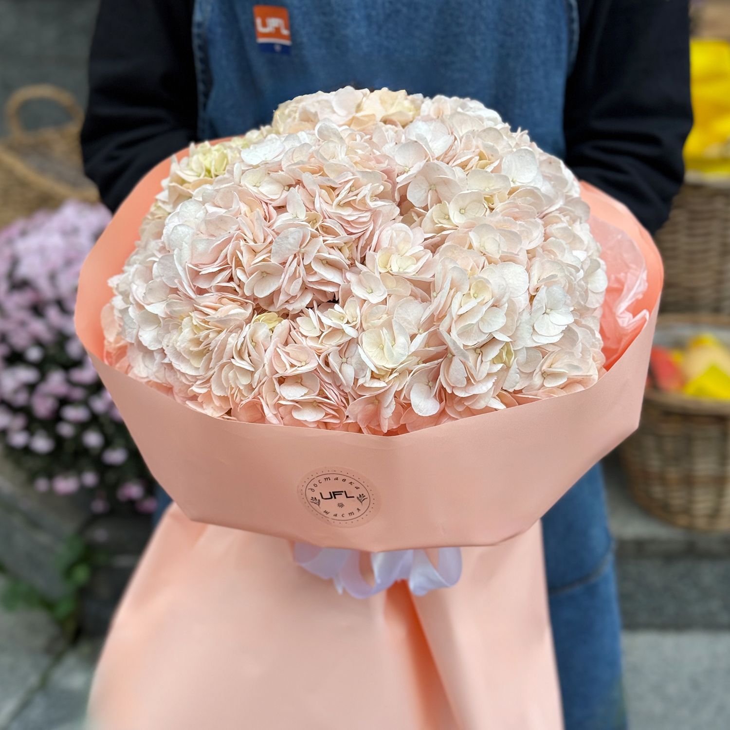 Bouquet Bouquet of pink hydrangeas