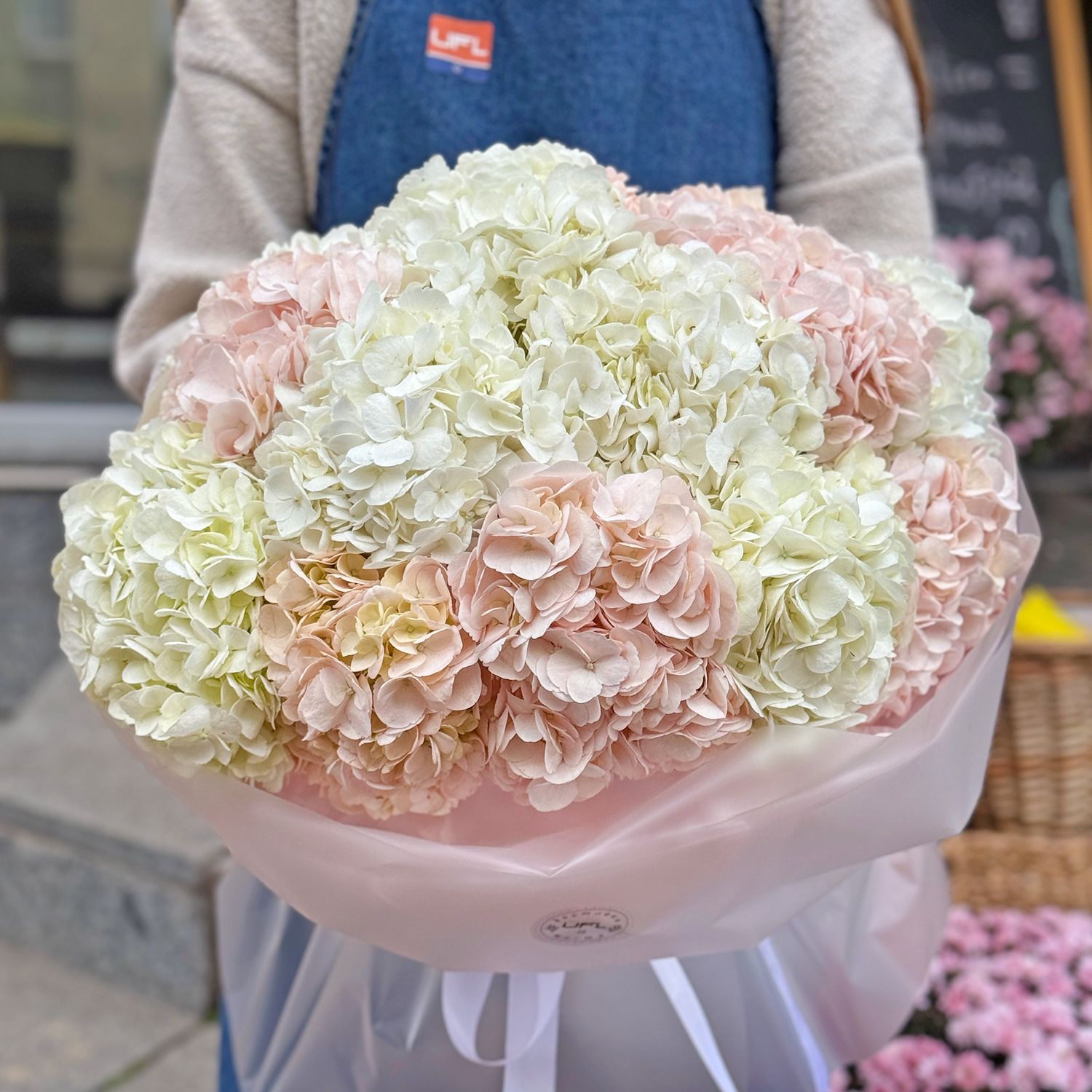 Bouquet Tender cloud of hydrangeas