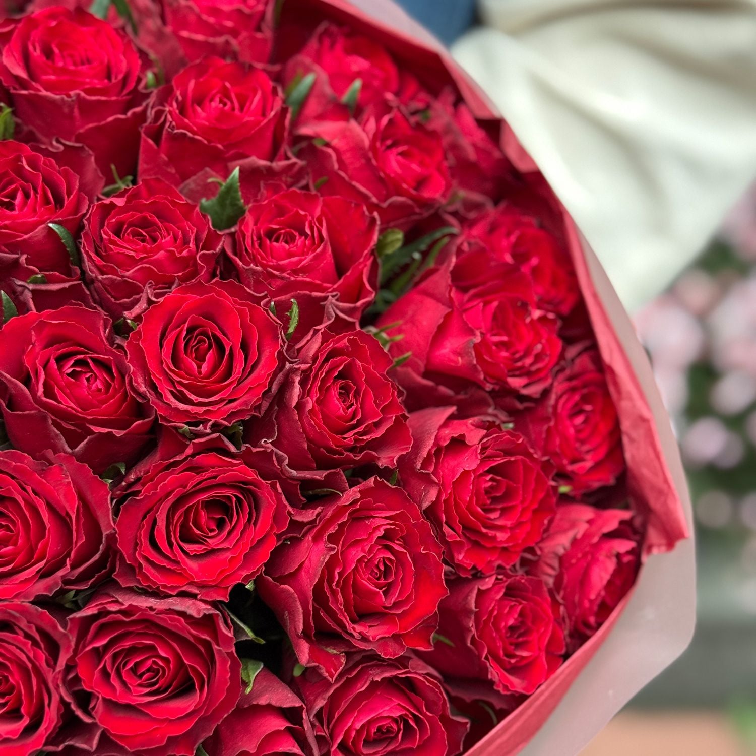 Bouquet 51 red roses Kenia