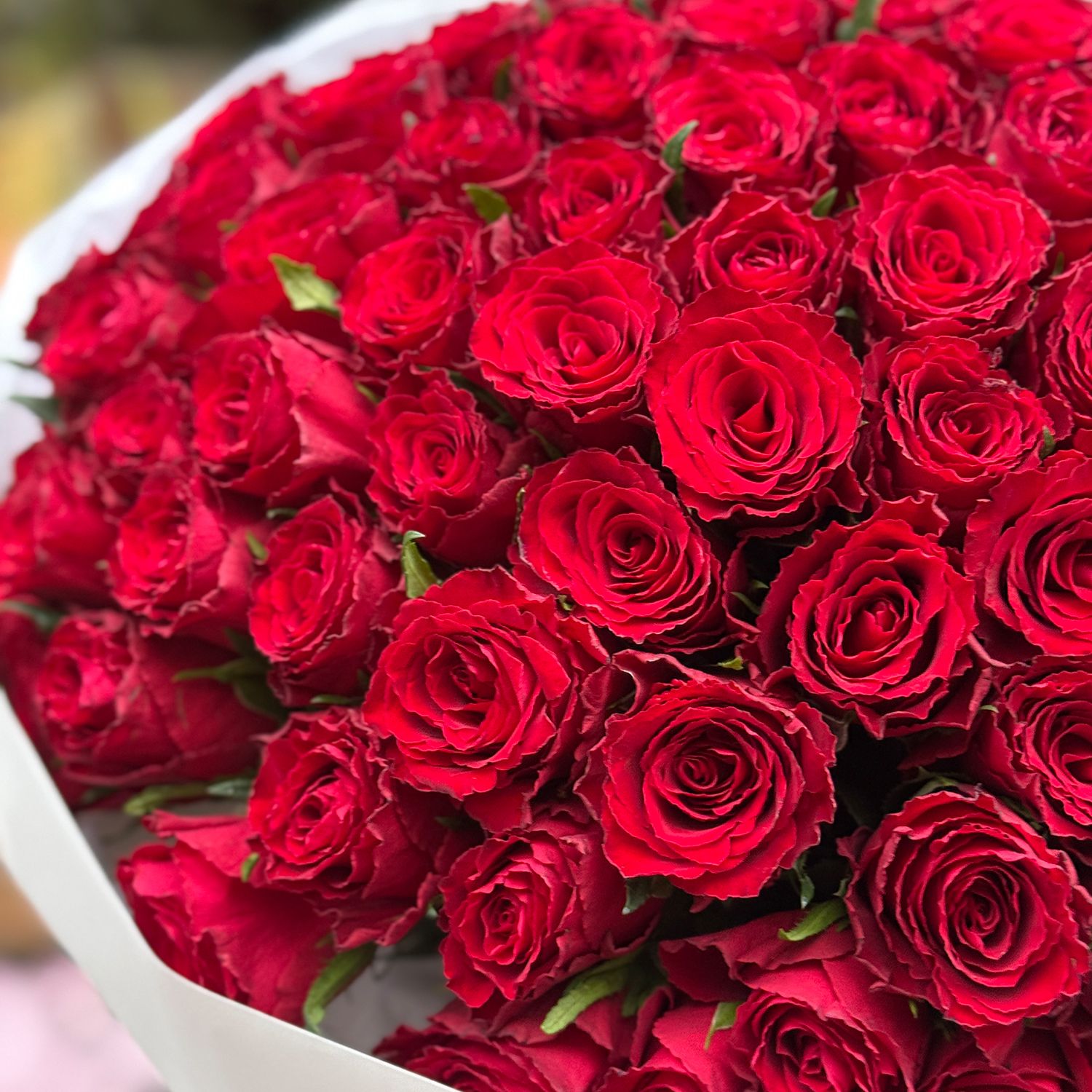 Bouquet 101 red roses Kenia