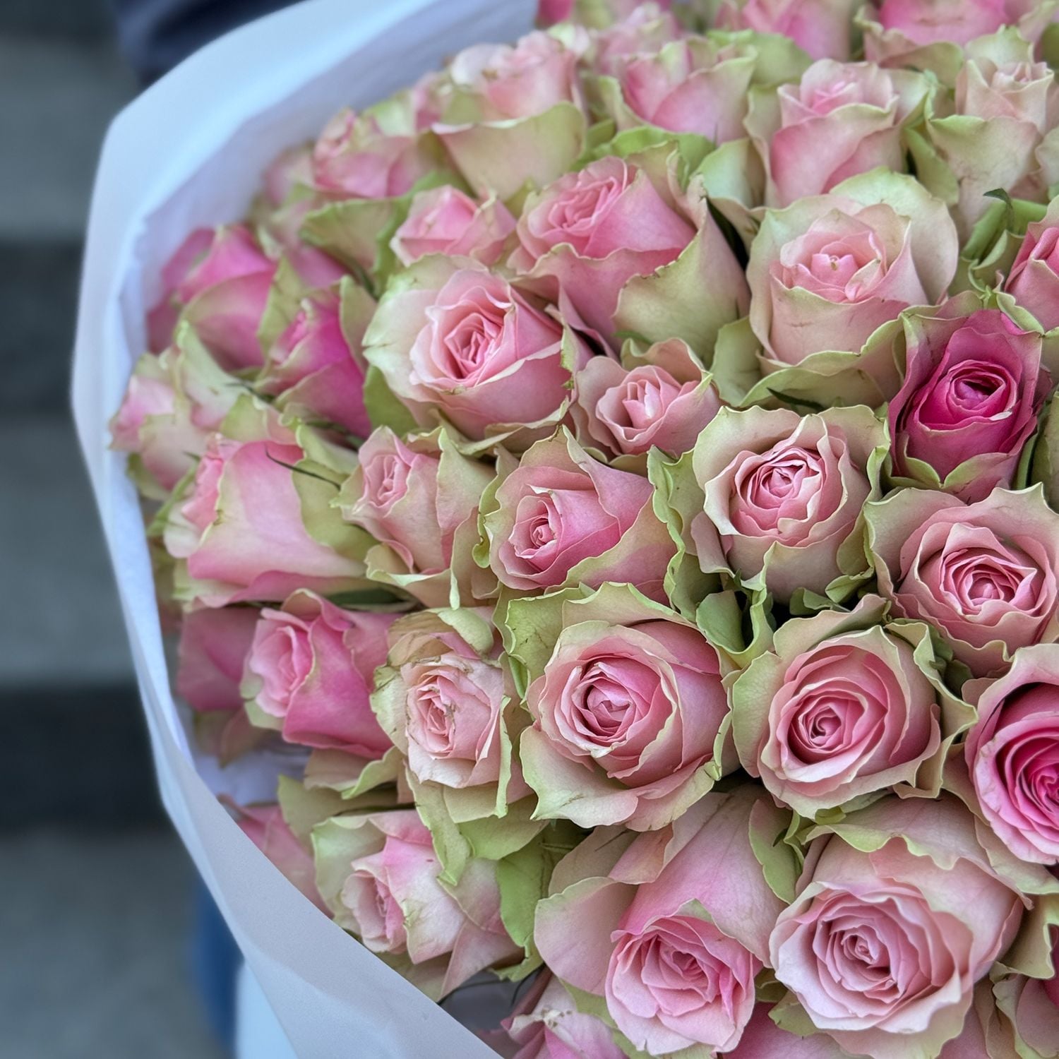 Bouquet 101 pink roses Kenia