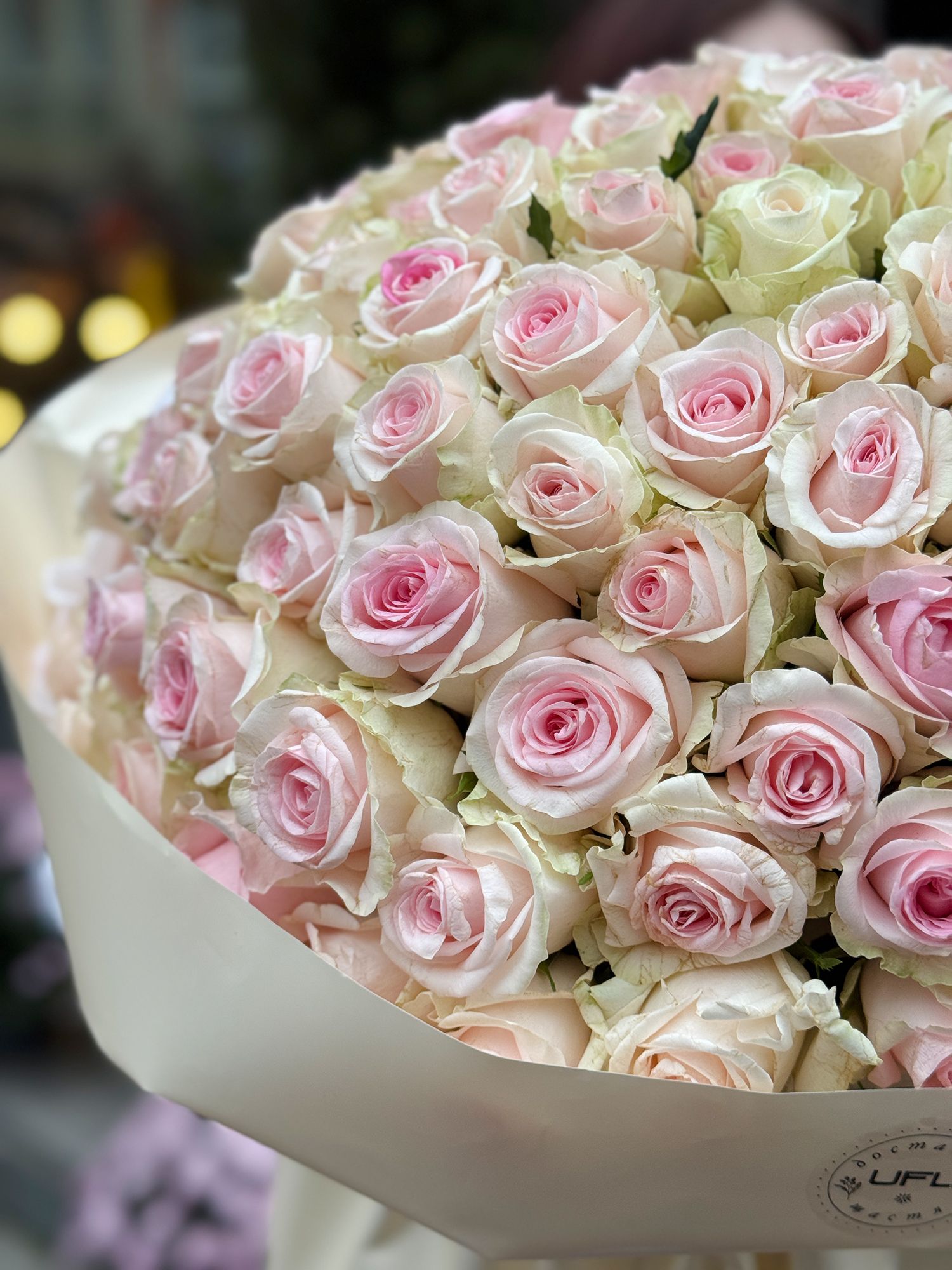 Bouquet 101 pink roses Kenia