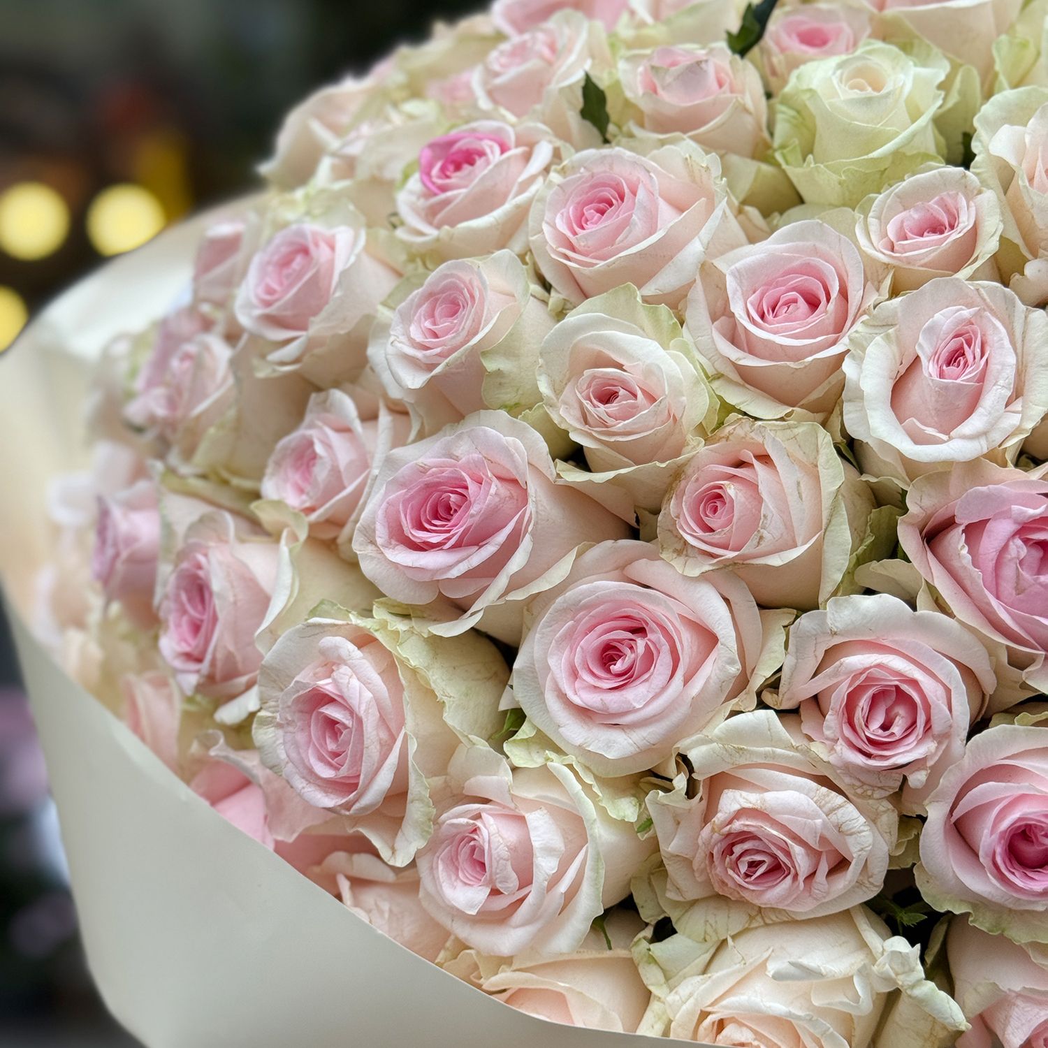Bouquet 101 pink roses Kenia