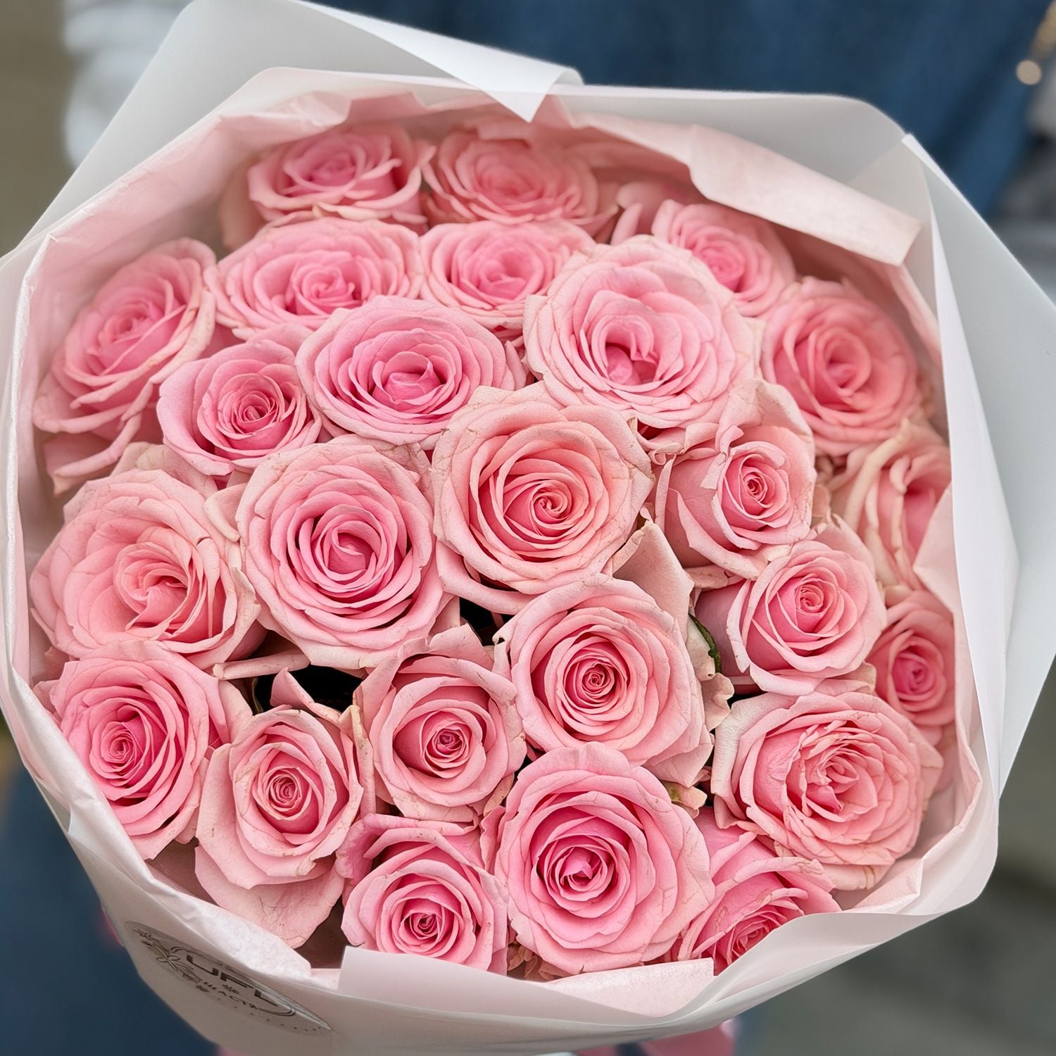 Bouquet 25 pink roses Kenia